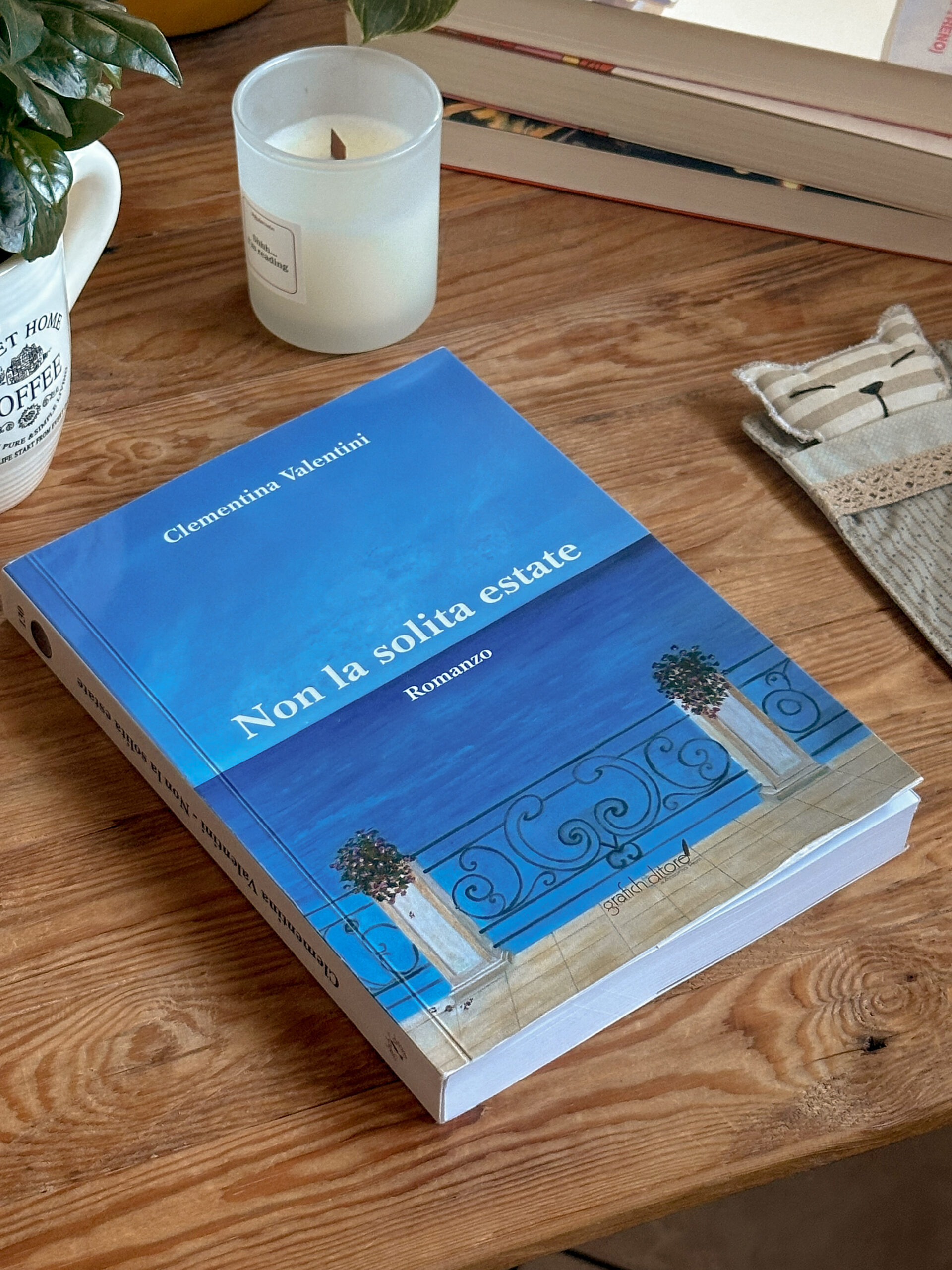 Copertina del libro Non la solita estate di Clementina Valentini